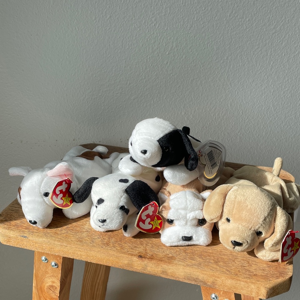 5 beanie baby dog lot